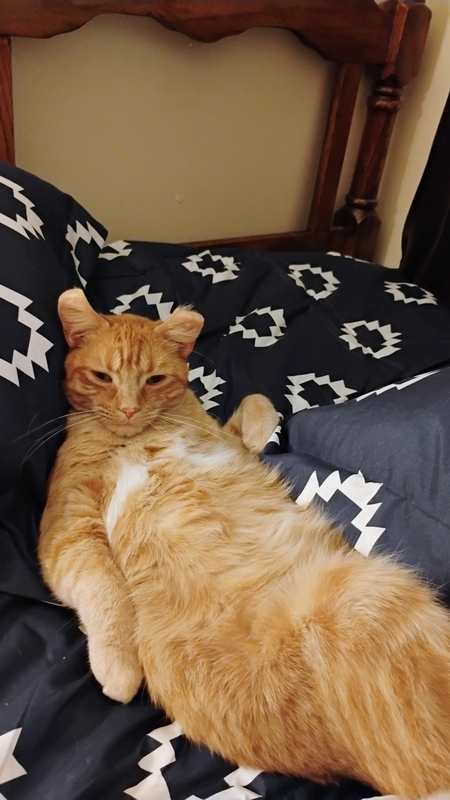 Entry image for Bobby. Clicking this image will show a larger photo