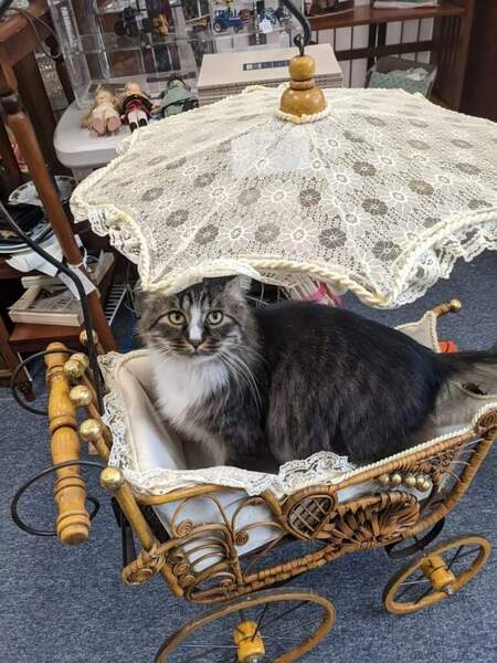 Entry image for Karl. Clicking this image will show a larger photo