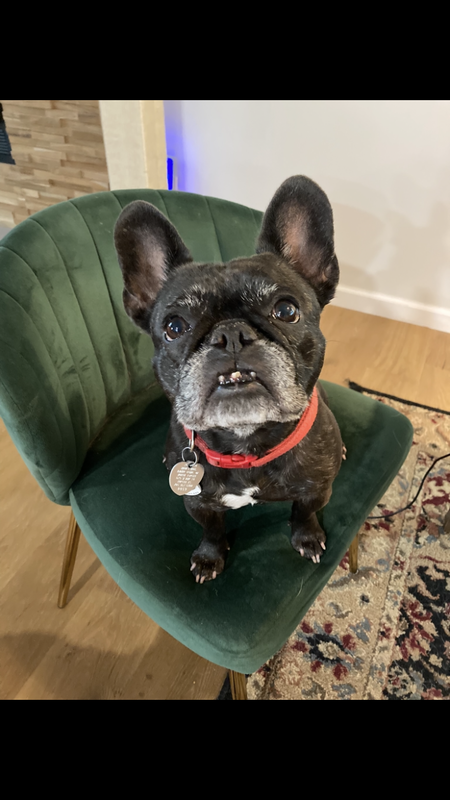 Entry image for Joni. Clicking this image will show a larger photo