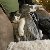 Entry image for Kiki Minaj