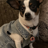 Entry image for Willie