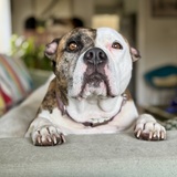 Entry image for Mandy