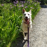 Entry image for Snow ❄️