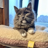 Entry image for Jack