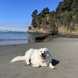 Entry image for Daisy