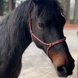 Entry image for August