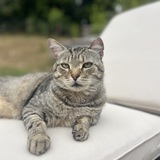 Entry image for Bruno 