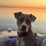 Entry image for Lucy