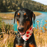 Entry image for Roscoe 
