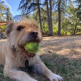 Entry image for Leika