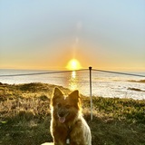 Entry image for GiGi