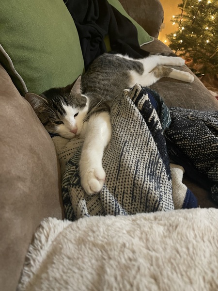 Entry image for Kiki Minaj. Clicking this image will show a larger photo