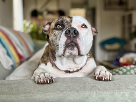 Entry image for Mandy. Clicking this image will show a larger photo