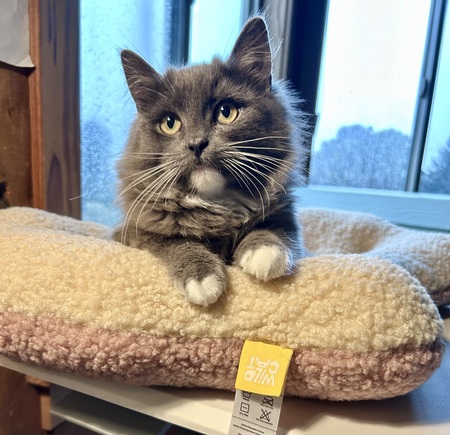 Entry image for Jack. Clicking this image will show a larger photo