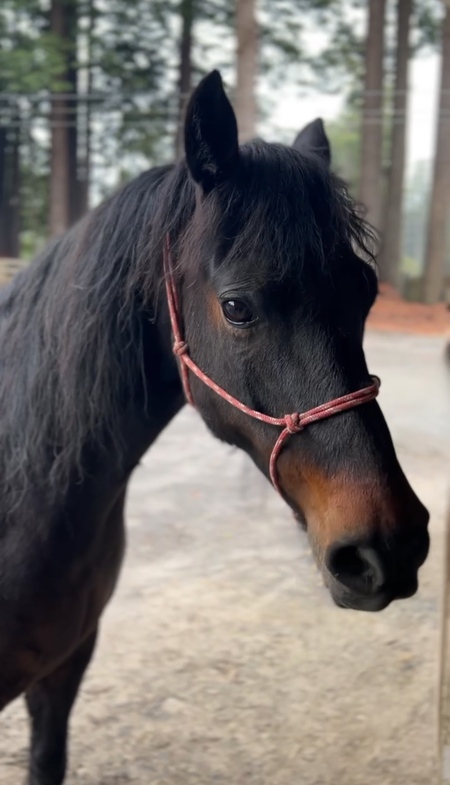 Entry image for August. Clicking this image will show a larger photo