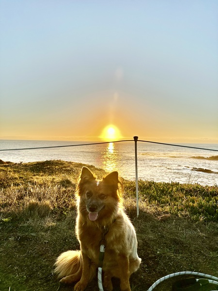 Entry image for GiGi. Clicking this image will show a larger photo