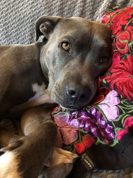 Entry image for Sonora. Clicking this image will show a larger photo