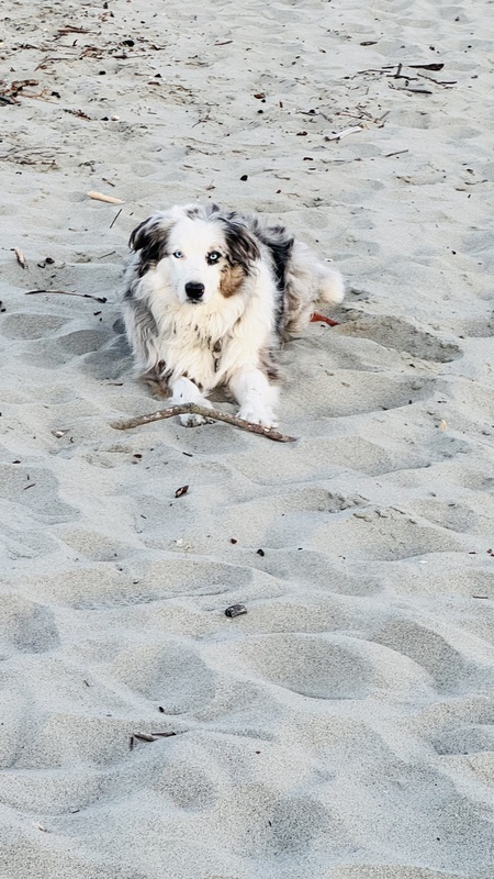 Entry image for Josie Blue. Clicking this image will show a larger photo