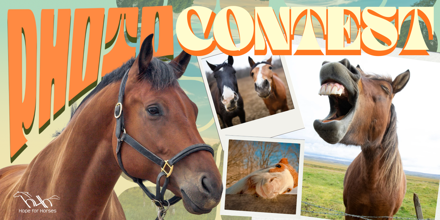 Banner for Hope For Horses Calendar Contest