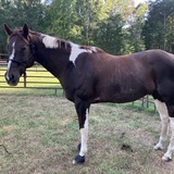 Entry image for Jack