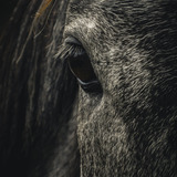 Entry image for Sweetheart 