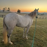 Entry image for Hope