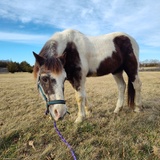 Entry image for Sketch