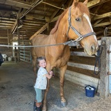 Entry image for Giant Mark