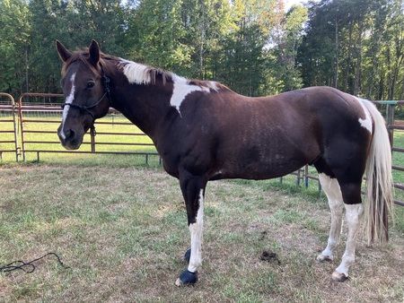 Entry image for Jack. Clicking this image will show a larger photo