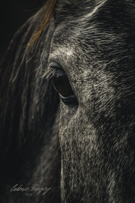 Entry image for Sweetheart . Clicking this image will show a larger photo