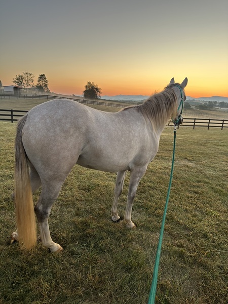 Entry image for Hope. Clicking this image will show a larger photo