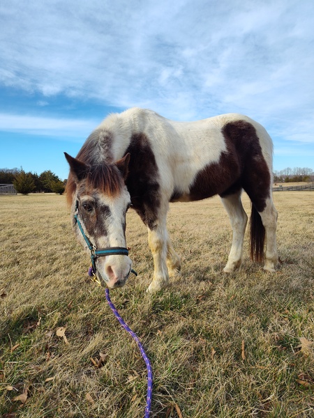 Entry image for Sketch. Clicking this image will show a larger photo