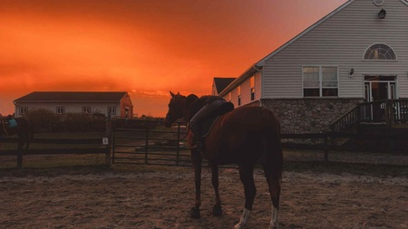 Entry image for Rodney. Clicking this image will show a larger photo