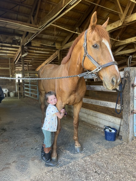 Entry image for Giant Mark. Clicking this image will show a larger photo