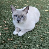 Entry image for Yuki