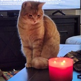 Entry image for Dori