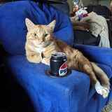 Entry image for Rosie