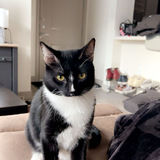 Entry image for Cilo