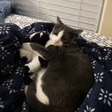 Entry image for June Bug & the stolen stuffy