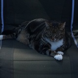 Entry image for Kwali