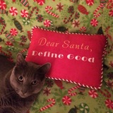 Entry image for Graycie May