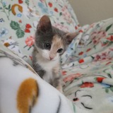 Entry image for Juniper Louise 