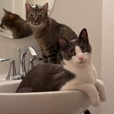 Entry image for Charlie and Reyna