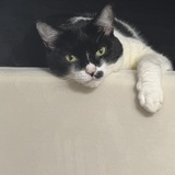 Entry image for Cathie