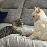 Entry image for Davy and Freddy