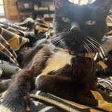 Entry image for Jake 