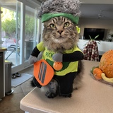 Entry image for Edgar 