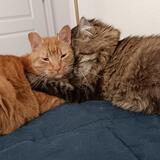 Entry image for Pretty Boy & Little Manny