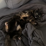 Entry image for Chili