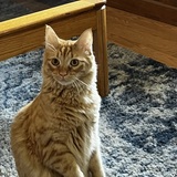 Entry image for 🥜 